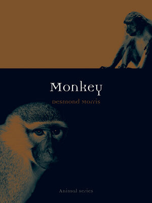 cover image of Monkey